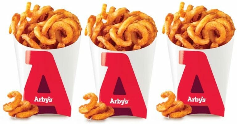 are arby's curly fries vegan

