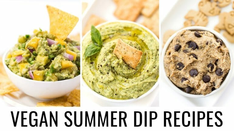 are fun dips vegan
