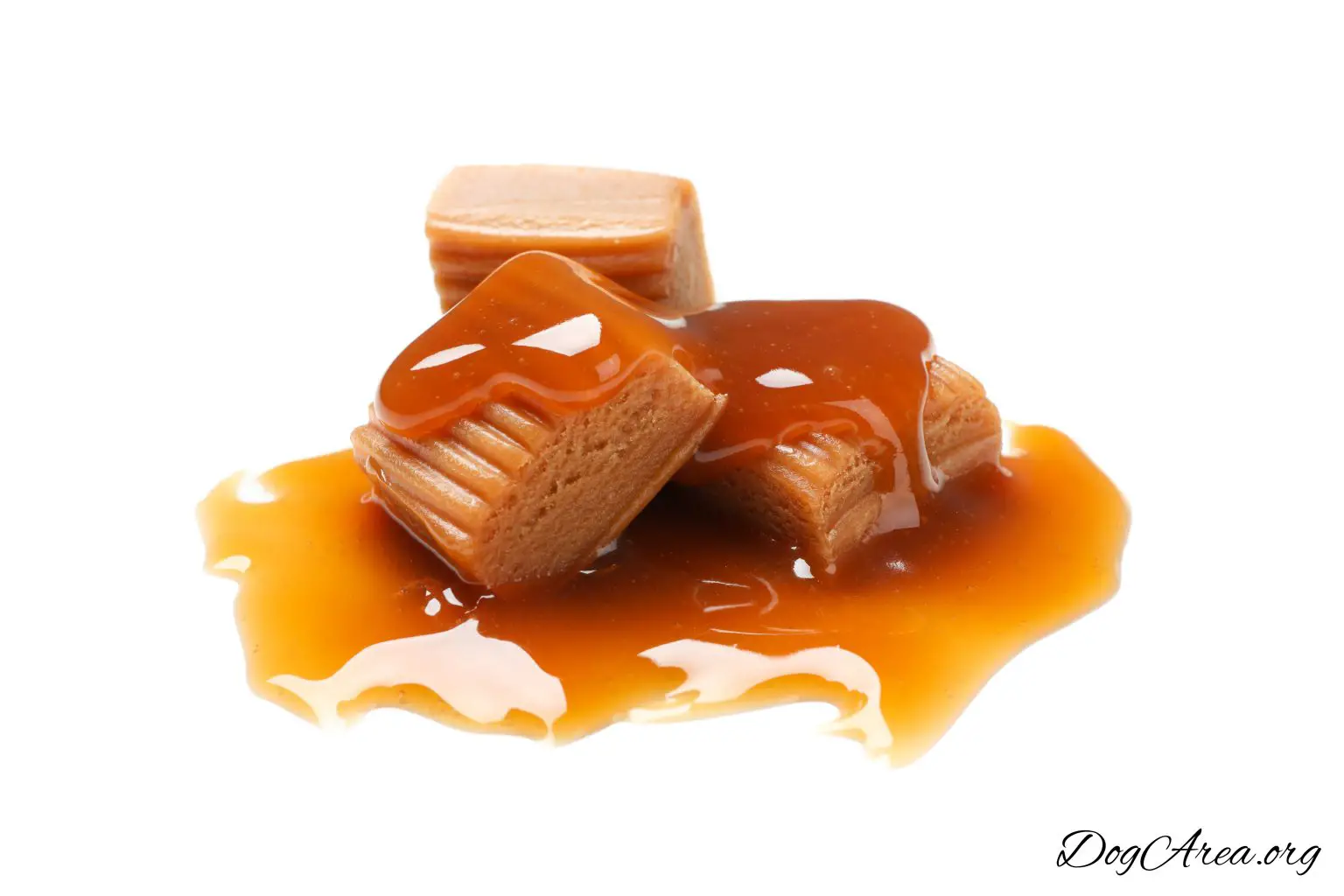 can dogs have caramel rice cakes
