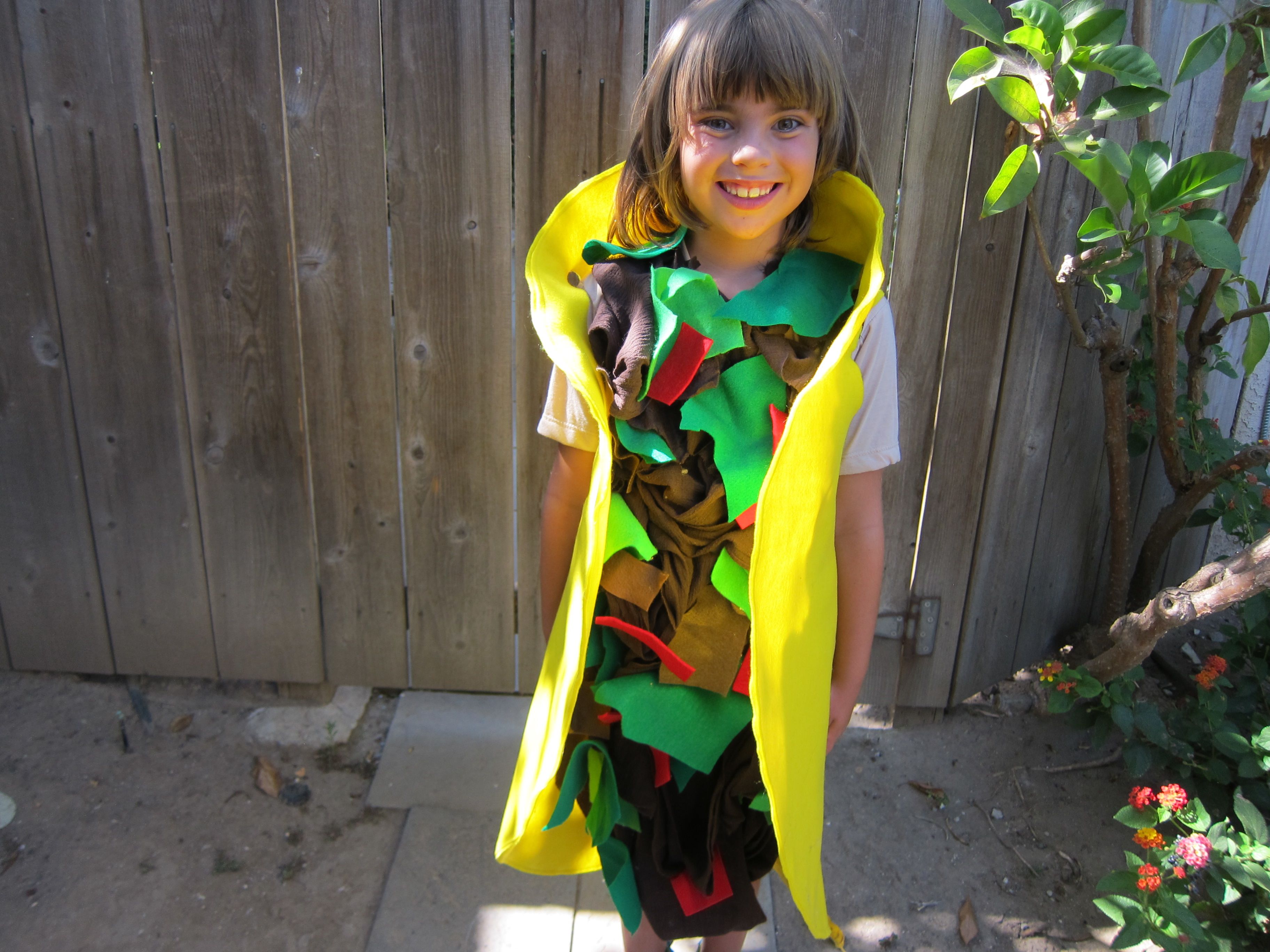how to make a taco costume
