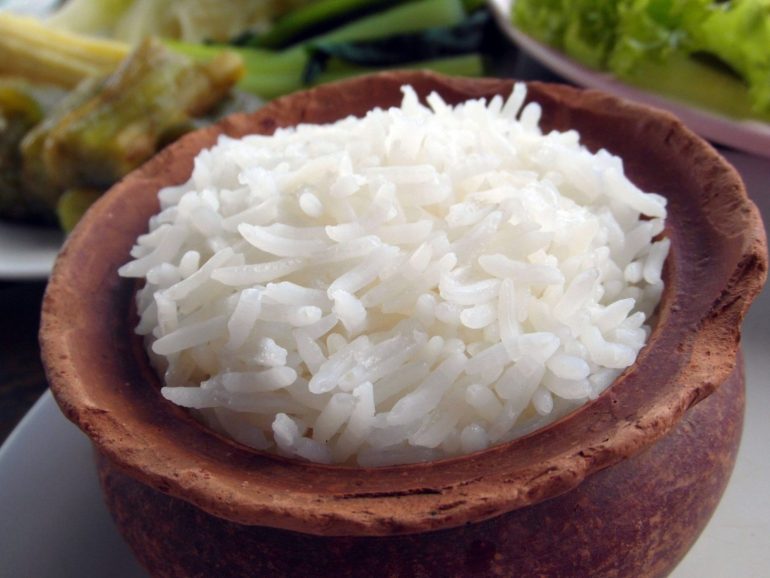 is jasmine rice safe for dogs

