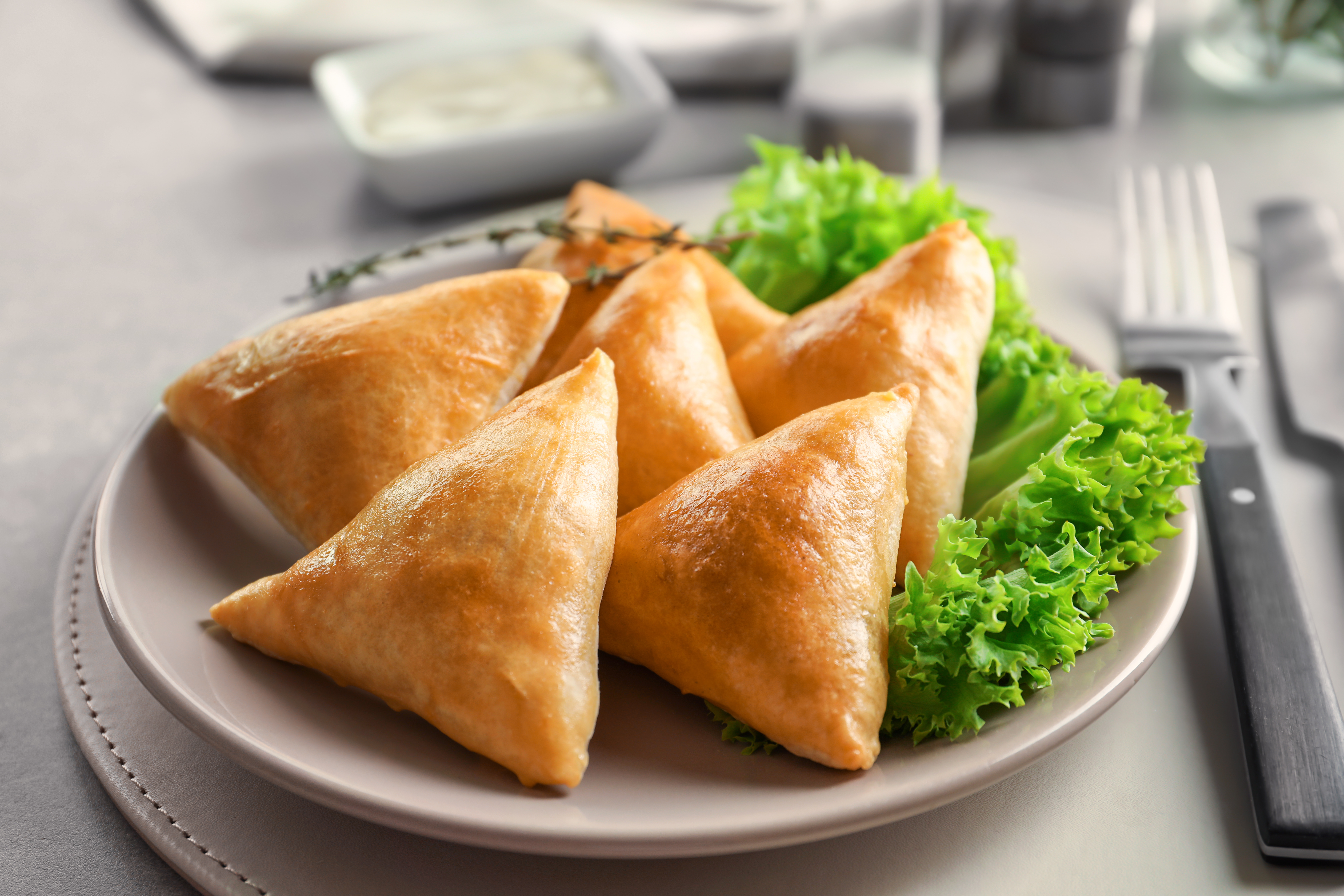 what is chicken samosa
