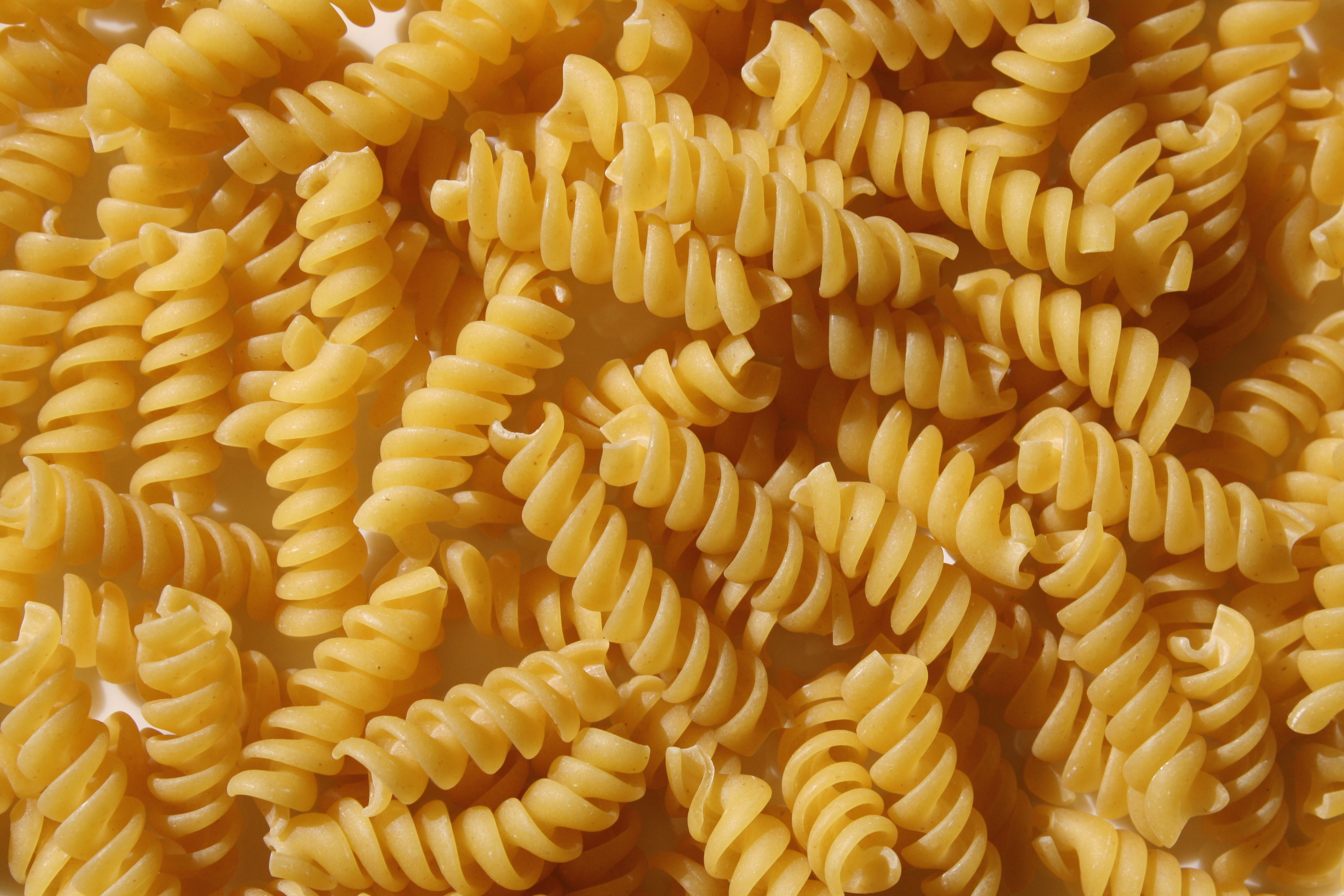 what is rotini pasta
